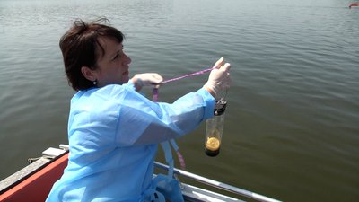 У Житомирі на пляжах у Гідропарку вода відповідає гігієнічним нормам У Житомирі на пляжах у Гідропарку вода відповідає гігієнічним нормам