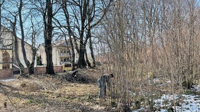 Жителі Тернопільщини прибирають цвинтарі, де поховані поляки Жителі Тернопільщини прибирають цвинтарі, де поховані поляки