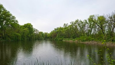 Хмарно та дощ: прогноз погоди у Кіровоградській області на тиждень