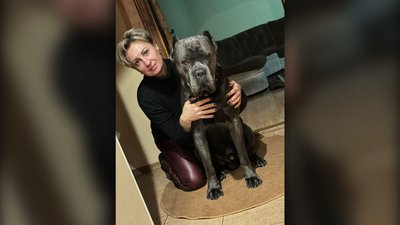 Арчі собака із Сум