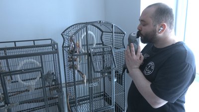 "Ставлюся до них, як до дітей": історія порятунку луганчанина та його папуг "Ставлюся до них, як до дітей": історія порятунку луганчанина та його папуг