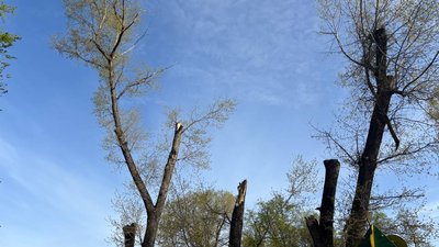 Буревій у Чернівецькій області