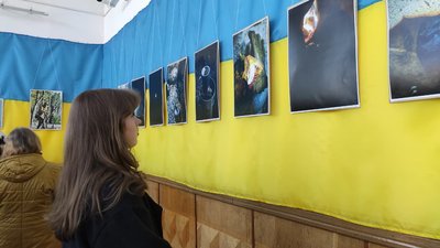 тернопіль, фотовиставка, юрій костишин, кіт характерник, 10 березня 2026 року