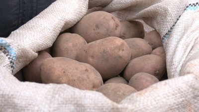Що здорожчало найбільше та які прогнози на весну: як змінюються ціни на овочі на Черкащині Що здорожчало найбільше та які прогнози на весну: як змінюються ціни на овочі на Черкащині