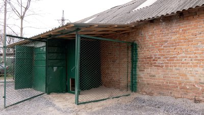 На Вінниччині зооволонтери облаштували пункт тимчасової перетримки безпритульних тварин На Вінниччині зооволонтери облаштували пункт тимчасової перетримки безпритульних тварин