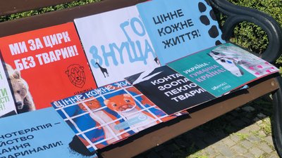 "Ні" дельфінаріям і жорстокому поводженню з безпритульними: в Ужгороді провели зоозахисний марш "Ні" дельфінаріям і жорстокому поводженню з безпритульними: в Ужгороді провели зоозахисний марш