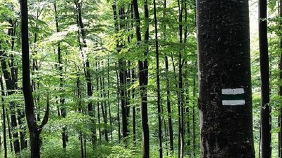 Із Шешор до полонин та Мертвого озера: на Прикарпатті створять нову туристичну стежку Із Шешор до полонин та Мертвого озера: на Прикарпатті створять нову туристичну стежку