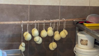 "Сироваріння — це не сухий технічний процес, це творчість": як волинська вчителька стала варити сир