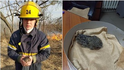 За день на Кіровоградщині вигоріло 12 гектарів землі внаслідок пожеж трави і очерету За день на Кіровоградщині вигоріло 12 гектарів землі внаслідок пожеж трави і очерету