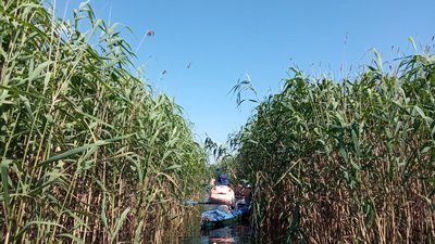 Школярі Херсона взяли участь у туристичному маршруті Дніпром Школярі Херсона взяли участь у туристичному маршруті Дніпром