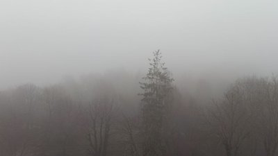 тернопіль, туман, 12 січня 2026 року