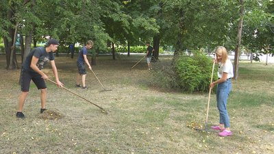 У Кам'янському студенти та школярі допомагають комунальникам