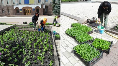 У Кропивницькому на площі Героїв Майдану розквітне "вишиванка"