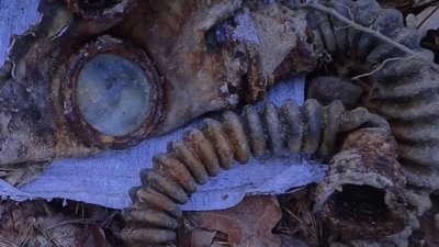Неподалік Деснянки Чернігівського району знайшли останки солдата Червоної армії