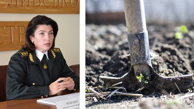 На Кіровоградщині за два місяці висадять 310 тисяч дерев. Долучитись можуть усі охочі