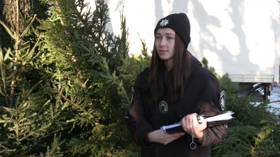 Операція "Ялинка": на Рівненщині поліцейські перевіряють законність продажу хвої Операція "Ялинка": на Рівненщині поліцейські перевіряють законність продажу хвої