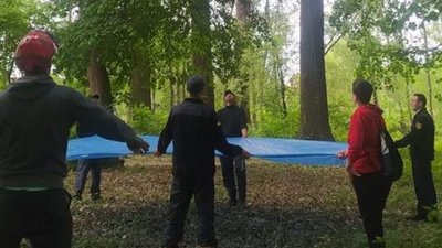 Тиждень просидів на дереві: історія порятунку кота на Тернопільщині