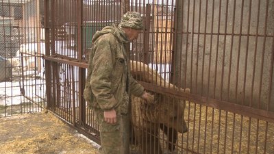 У Хмельницькому реабілітаційному центрі для диких тварин ведмеді циркові, тому і не звикли спати зимою. Фото: Суспільне Поділля