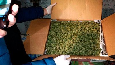 Миколаївські поліцейські конфіскували два кілограми канабісу Миколаївські поліцейські конфіскували два кілограми канабісу
