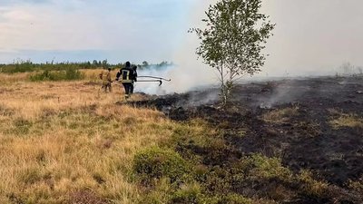Рятувальники, пожежа, сухостій, Франківщина