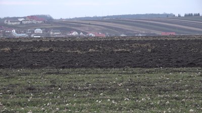 На Тернопільщині 317 тисяч людей здають в оренду землю та отримують паї