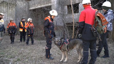 "Це страшно, але необхідно": як на Дніпропетровщині тренують собак пошуково-рятувального загону "Це страшно, але необхідно": як на Дніпропетровщині тренують собак пошуково-рятувального загону