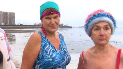 моржі моржі