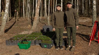 Сіянці дерев на Чернігівщині: висаджують ліс під час осінньої лісокультурної кампанії