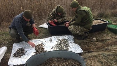 На Херсонщині прикордонники виявили браконьєрів з уловом на 300 тисяч гривень