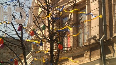 У Житомирі на Михайлівській почали висаджувати живі квіти У Житомирі на Михайлівській почали висаджувати живі квіти