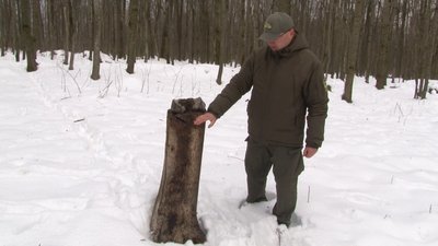їжа для тваринок їжа для тваринок