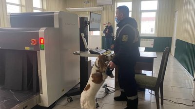 На службі у прикордонників. На Херсонщині на КПВВ "Каланчак" собаки шукають наркотичні речовини На службі у прикордонників. На Херсонщині на КПВВ "Каланчак" собаки шукають наркотичні речовини
