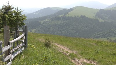 Бізнес на висоті. Як відкриття ринку землі впливає на прикарпатські полонини Бізнес на висоті. Як відкриття ринку землі впливає на прикарпатські полонини