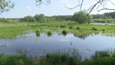 На Полтавщині стартував конкурс екологічних ініціатив