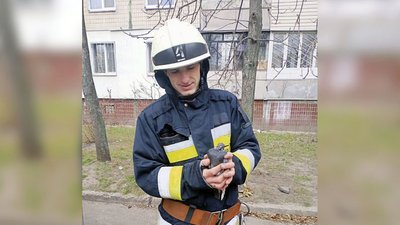 Дніпровські надзвичайники звільнили птаха з пастки Дніпровські надзвичайники звільнили птаха з пастки