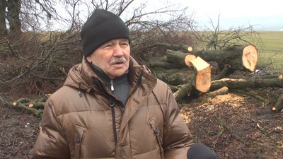 Місцевий депутат Анатолій Гудз каже, що на алеї росте 150 трьохсотрічних лип, які користуються популярністю серед місцевих бджолярів. Фото: Суспільне. Поділля. Місцевий депутат Анатолій Гудз каже, що на алеї росте 150 трьохсотрічних лип, які користуються популярністю серед місцевих бджолярів. Фото: Суспільне. Поділля.
