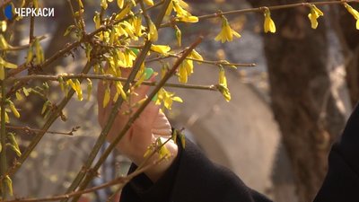 Чи допомагає арт-терапія під час карантину Чи допомагає арт-терапія під час карантину