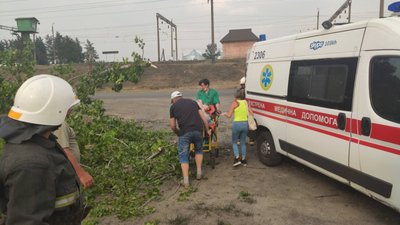 На Харківщині дерево впало на жінку На Харківщині дерево впало на жінку
