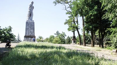 Маки, ромашки, льон, волошки: у 6 парках Дніпра розквітнув мавританський газон