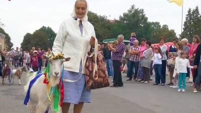 Щороку водить Зірку на "Коза-фест". Мирослава Блавіцька. СУСПІЛЬНЕ | ЛЮДИ