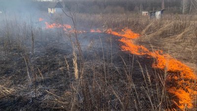 Найбільше — у Рівненському районі: скільки загорянь сухостою зафіксували у 2026 році в області