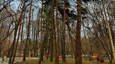 Обстеження атракціонів і ремонт пошкодженого за зиму: у парку Шевченка в Рівному готуються до сезону Обстеження атракціонів і ремонт пошкодженого за зиму: у парку Шевченка в Рівному готуються до сезону
