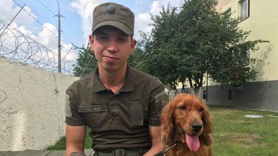 Руда спанієль на прізвисько "Леді" повернулась із зони ООС Руда спанієль на прізвисько "Леді" повернулась із зони ООС
