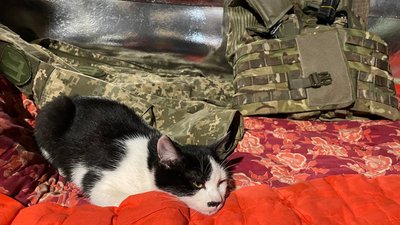Боєць 117-ї бригади ТРО з Сумщини розповів про свою третю війну Боєць 117-ї бригади ТРО з Сумщини розповів про свою третю війну