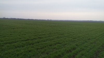 Удар по торговельному центру Нікополя, збитий дрон, агент Росії в ЗСУ. Головні новини Дніпропетровщини 6 березня Удар по торговельному центру Нікополя, збитий дрон, агент Росії в ЗСУ. Головні новини Дніпропетровщини 6 березня