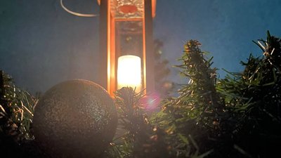Пластуни з Миколаєва отримали свічку запалену вогнем з Вифлеєму