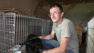 Евакуйованим з Херсонщини тваринам шукають господарів на Рівненщині Евакуйованим з Херсонщини тваринам шукають господарів на Рівненщині