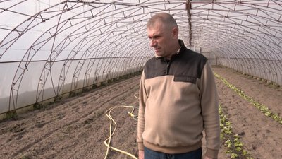 "Співаю їм і вони ростуть": волинські господарі розпочали висаджувати розсаду "Співаю їм і вони ростуть": волинські господарі розпочали висаджувати розсаду