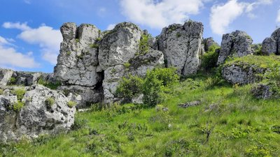 музикова скала, тернопільська область, скелі, товтри, природа
