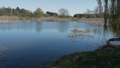 Село, яке колись було засекреченим Гнильче: тиша серед лісів і ставків Рівненщини Село, яке колись було засекреченим Гнильче: тиша серед лісів і ставків Рівненщини